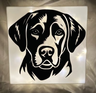 Schwarz-weiße Darstellung eines Labrador-Kopfes auf hellem Hintergrund.